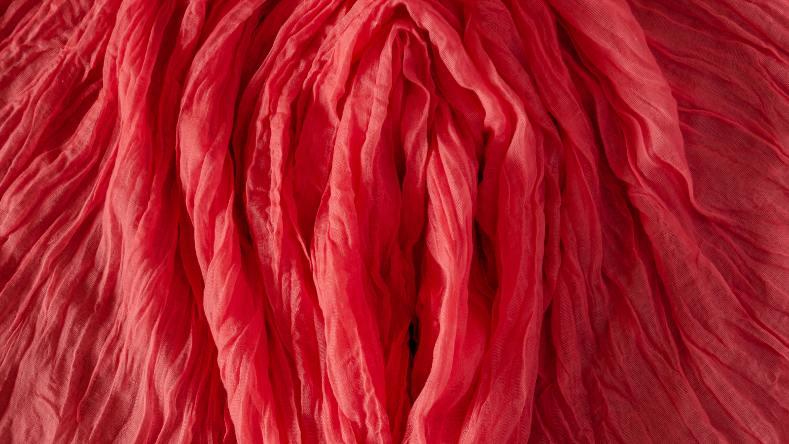 It’s Time to Stop Vulva Shame