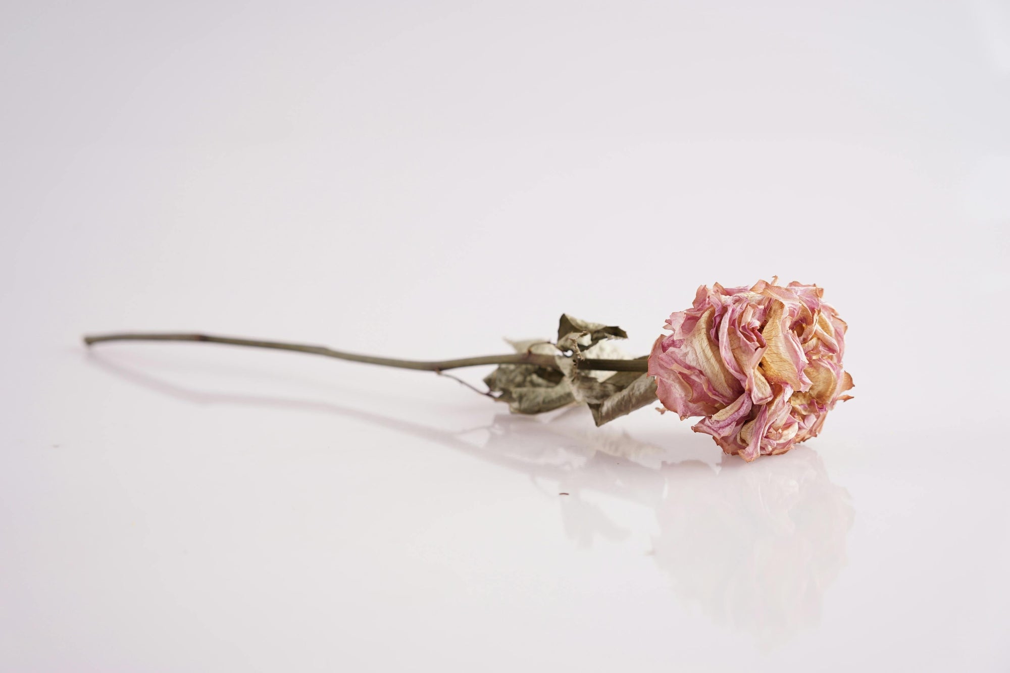 Understanding Vaginal Dryness in Perimenopause and Postmenopause